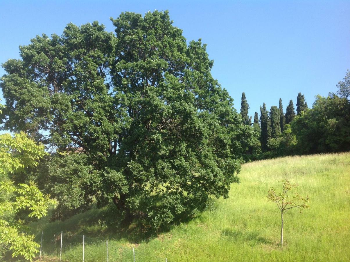 B&B Smile Fiorano Modenese Exterior foto